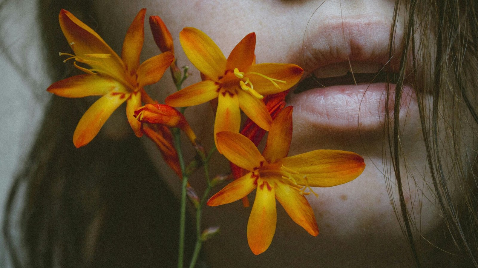 kissing of flower